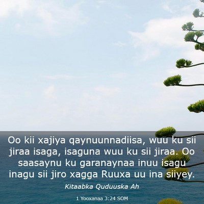 Picture 03 - 1 Yooxanaa 3:24 SOM - Oo kii xajiya qaynuunnadiisa, wuu ku sii jiraa - Bible Verse Picture