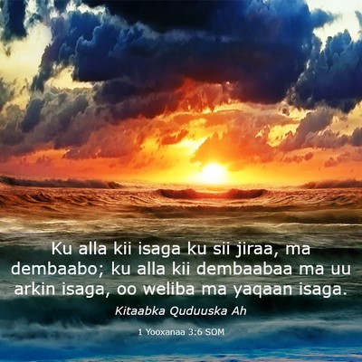 Picture 03 - 1 Yooxanaa 3:6 SOM - Ku alla kii isaga ku sii jiraa, ma dembaabo; ku - Bible Verse Picture