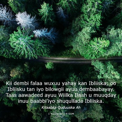 Picture 03 - 1 Yooxanaa 3:8 SOM - Kii dembi falaa wuxuu yahay kan Ibliiska; oo - Bible Verse Picture