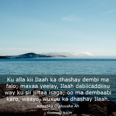 Picture 03 - 1 Yooxanaa 3:9 SOM - Ku alla kii Ilaah ka dhashay dembi ma falo; maxaa - Bible Verse Picture