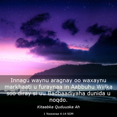 Picture 03 - 1 Yooxanaa 4:14 SOM - Innagu waynu aragnay oo waxaynu markhaati u - Bible Verse Picture