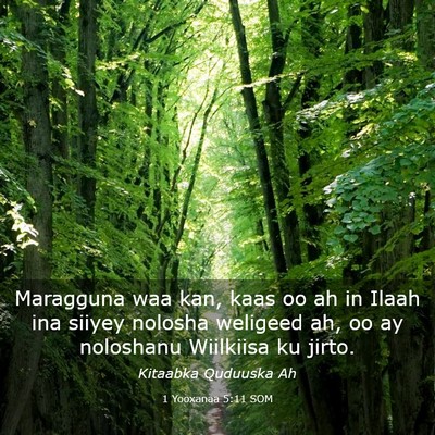 Picture 03 - 1 Yooxanaa 5:11 SOM - Maragguna waa kan, kaas oo ah in Ilaah ina siiyey - Bible Verse Picture