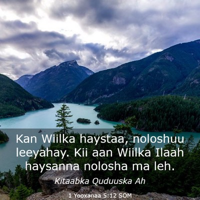 Picture 03 - 1 Yooxanaa 5:12 SOM - Kan Wiilka haystaa, noloshuu leeyahay. Kii aan - Bible Verse Picture