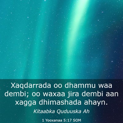 Picture 03 - 1 Yooxanaa 5:17 SOM - Xaqdarrada oo dhammu waa dembi; oo waxaa jira - Bible Verse Picture