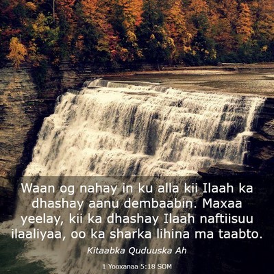 Picture 03 - 1 Yooxanaa 5:18 SOM - Waan og nahay in ku alla kii Ilaah ka dhashay - Bible Verse Picture