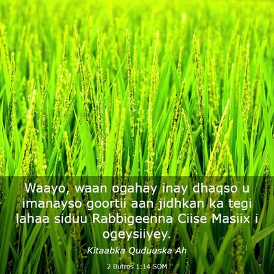 Picture 03 - 2 Butros 1:14 SOM - Waayo, waan ogahay inay dhaqso u imanayso goortii - Bible Verse Picture