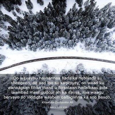 Picture 03 - 2 Butros 1:19 SOM - Oo waxaynu haysannaa hadalka nebiyadii sii - Bible Verse Picture