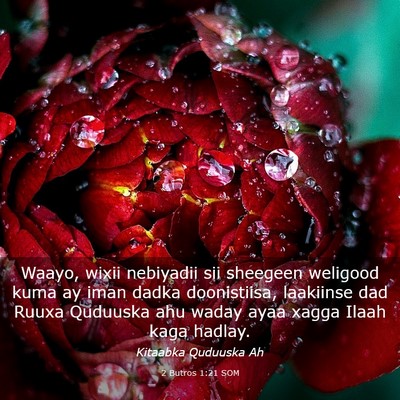 Picture 03 - 2 Butros 1:21 SOM - Waayo, wixii nebiyadii sii sheegeen weligood kuma - Bible Verse Picture