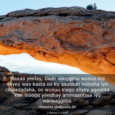 Picture 03 - 2 Butros 1:3 SOM - Maxaa yeelay, Ilaah xooggiisu wuxuu ina siiyey - Bible Verse Picture
