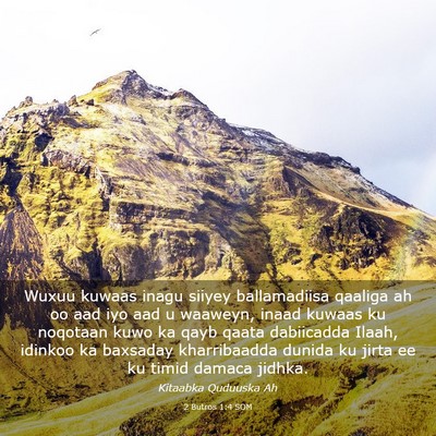 Picture 03 - 2 Butros 1:4 SOM - Wuxuu kuwaas inagu siiyey ballamadiisa qaaliga ah - Bible Verse Picture