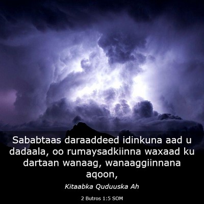 Picture 03 - 2 Butros 1:5 SOM - Sababtaas daraaddeed idinkuna aad u dadaala, oo - Bible Verse Picture