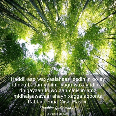 Picture 03 - 2 Butros 1:8 SOM - Haddii aad waxyaalahaas leedihiin oo ay idinku - Bible Verse Picture