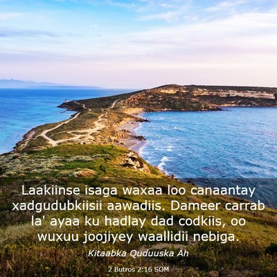 Picture 03 - 2 Butros 2:16 SOM - Laakiinse isaga waxaa loo canaantay - Bible Verse Picture