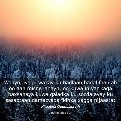 Picture 03 - 2 Butros 2:18 SOM - Waayo, iyagu waxay ku hadlaan hadal faan ah oo - Bible Verse Picture