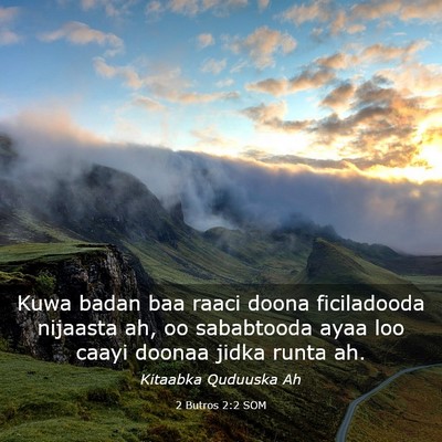 Picture 03 - 2 Butros 2:2 SOM - Kuwa badan baa raaci doona ficiladooda nijaasta - Bible Verse Picture