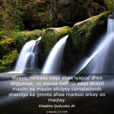 Picture 03 - 2 Butros 2:8 SOM - Waayo, ninkaas xaqa ahaa iyaguu dhex degganaa, oo - Bible Verse Picture