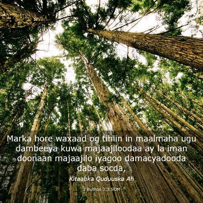 Picture 03 - 2 Butros 3:3 SOM - Marka hore waxaad og tihiin in maalmaha ugu - Bible Verse Picture