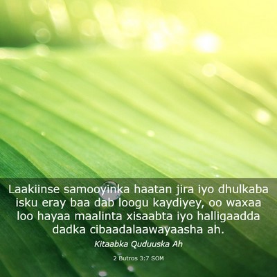 Picture 03 - 2 Butros 3:7 SOM - Laakiinse samooyinka haatan jira iyo dhulkaba - Bible Verse Picture