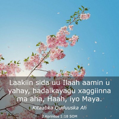 Picture 03 - 2 Korintos 1:18 SOM - Laakiin sida uu Ilaah aamin u yahay, hadalkayagu - Bible Verse Picture