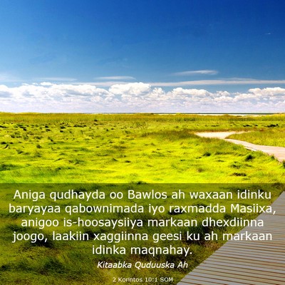 Picture 03 - 2 Korintos 10:1 SOM - Aniga qudhayda oo Bawlos ah waxaan idinku - Bible Verse Picture