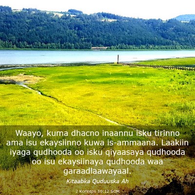 Picture 03 - 2 Korintos 10:12 SOM - Waayo, kuma dhacno inaannu isku tirinno ama isu - Bible Verse Picture