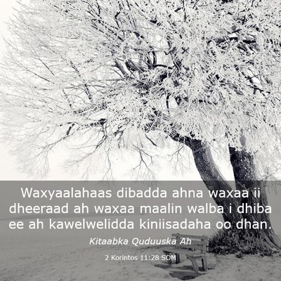 Picture 03 - 2 Korintos 11:28 SOM - Waxyaalahaas dibadda ahna waxaa ii dheeraad ah - Bible Verse Picture