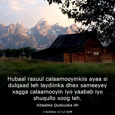 Picture 03 - 2 Korintos 12:12 SOM - Hubaal rasuul calaamooyinkiis ayaa si dulqaad leh - Bible Verse Picture
