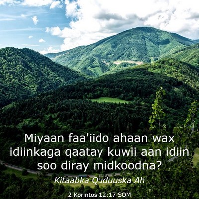 Picture 03 - 2 Korintos 12:17 SOM - Miyaan faa'iido ahaan wax idiinkaga qaatay kuwii - Bible Verse Picture