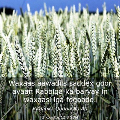 Picture 03 - 2 Korintos 12:8 SOM - Waxaas aawadiis saddex goor ayaan Rabbiga ka - Bible Verse Picture