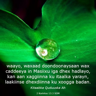 Picture 03 - 2 Korintos 13:3 SOM - waayo, waxaad doondoonaysaan wax caddeeya in - Bible Verse Picture