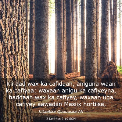 Picture 03 - 2 Korintos 2:10 SOM - Kii aad wax ka cafidaan, aniguna waan ka cafiyaa: - Bible Verse Picture