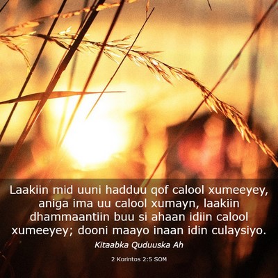Picture 03 - 2 Korintos 2:5 SOM - Laakiin mid uuni hadduu qof calool xumeeyey, - Bible Verse Picture