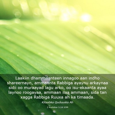 Picture 03 - 2 Korintos 3:18 SOM - Laakiin dhammaanteen innagoo aan indho - Bible Verse Picture