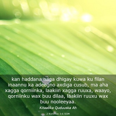 Picture 03 - 2 Korintos 3:6 SOM - kan haddana naga dhigay kuwa ku filan inaannu ka - Bible Verse Picture