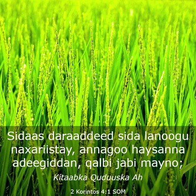 Picture 03 - 2 Korintos 4:1 SOM - Sidaas daraaddeed sida lanoogu naxariistay, - Bible Verse Picture