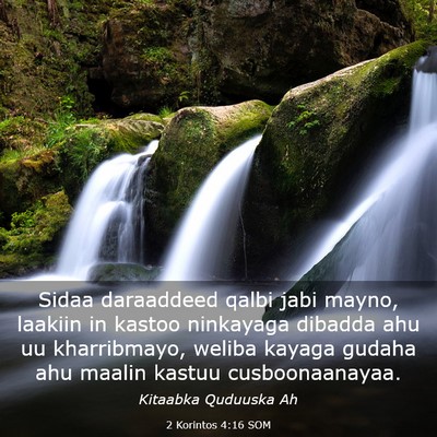 Picture 03 - 2 Korintos 4:16 SOM - Sidaa daraaddeed qalbi jabi mayno, laakiin in - Bible Verse Picture