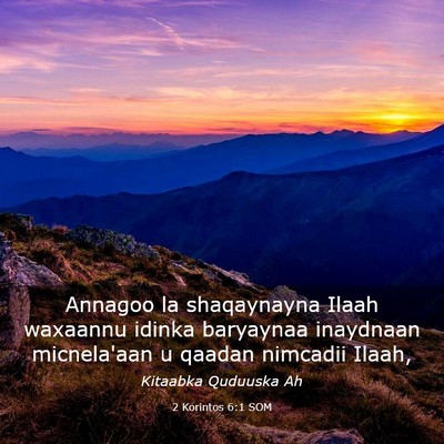 Picture 03 - 2 Korintos 6:1 SOM - Annagoo la shaqaynayna Ilaah waxaannu idinka - Bible Verse Picture