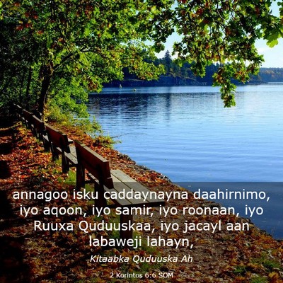 Picture 03 - 2 Korintos 6:6 SOM - annagoo isku caddaynayna daahirnimo, iyo aqoon, - Bible Verse Picture