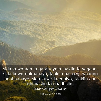 Picture 03 - 2 Korintos 6:9 SOM - sida kuwo aan la garanaynin laakiin la yaqaan, - Bible Verse Picture