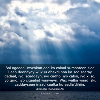 Picture 03 - 2 Korintos 7:11 SOM - Bal ogaada, waxakan aad ka calool xumaateen sida - Bible Verse Picture