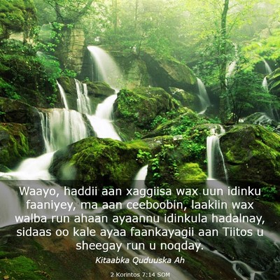 Picture 03 - 2 Korintos 7:14 SOM - Waayo, haddii aan xaggiisa wax uun idinku - Bible Verse Picture