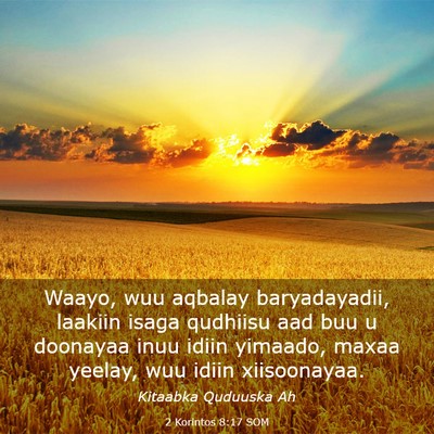 Picture 03 - 2 Korintos 8:17 SOM - Waayo, wuu aqbalay baryadayadii, laakiin isaga - Bible Verse Picture