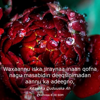 Picture 03 - 2 Korintos 8:20 SOM - Waxaannu iska jiraynaa inaan qofna nagu masabidin - Bible Verse Picture