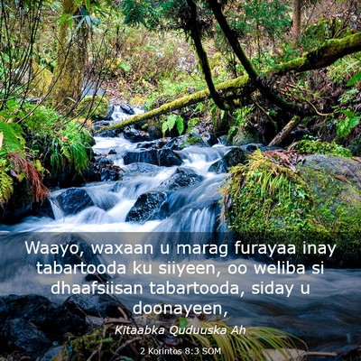 Picture 03 - 2 Korintos 8:3 SOM - Waayo, waxaan u marag furayaa inay tabartooda ku - Bible Verse Picture