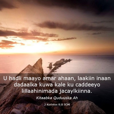 Picture 03 - 2 Korintos 8:8 SOM - U hadli maayo amar ahaan, laakiin inaan dadaalka - Bible Verse Picture