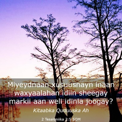 Picture 03 - 2 Tesaloniika 2:5 SOM - Miyeydnaan xusuusnayn inaan waxyaalahan idiin - Bible Verse Picture