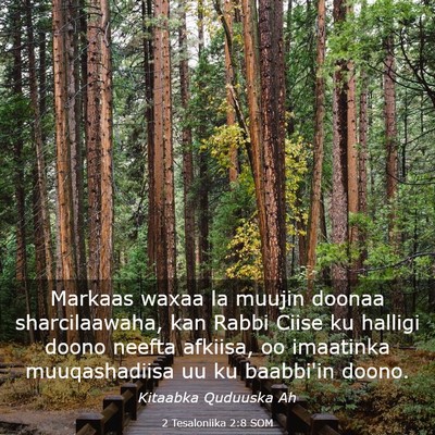 Picture 03 - 2 Tesaloniika 2:8 SOM - Markaas waxaa la muujin doonaa sharcilaawaha, kan - Bible Verse Picture