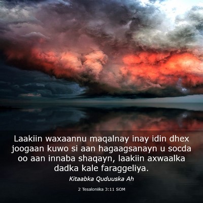 Picture 03 - 2 Tesaloniika 3:11 SOM - Laakiin waxaannu maqalnay inay idin dhex joogaan - Bible Verse Picture