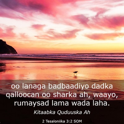 Picture 03 - 2 Tesaloniika 3:2 SOM - oo lanaga badbaadiyo dadka qalloocan oo sharka - Bible Verse Picture