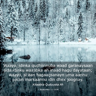 Picture 03 - 2 Tesaloniika 3:7 SOM - Waayo, idinka qudhiinnuba waad garanaysaan sida - Bible Verse Picture